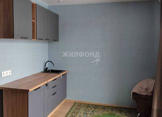 Продается квартира студия, 24.4 м2, Новосибирск, улица Василия Клевцова, 1, Калининский район