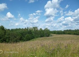 Продаю участок, 290 сот., деревня Васютино