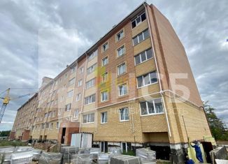 2-комнатная квартира на продажу, 50 м2, село Троицкое, Мельничная улица, 144А