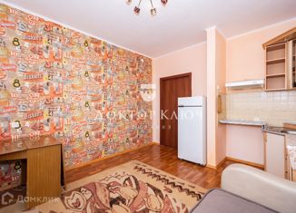 Продается квартира студия, 25 м2, Новосибирск, улица Краузе, 17, улица Краузе