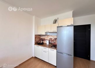 Сдается в аренду квартира студия, 24 м2, Санкт-Петербург, проспект Ветеранов, 169к3, муниципальный округ Сосновая Поляна