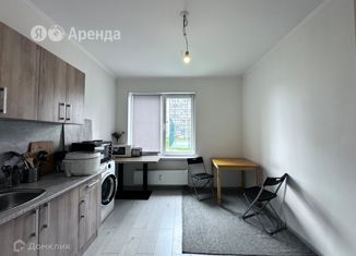 Сдам 1-комнатную квартиру, 35 м2, Санкт-Петербург, проспект Ветеранов, 175