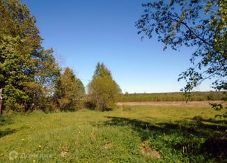 Продаю участок, 225 сот., поселок Староселье