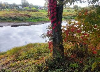 Продажа земельного участка, 5 сот., деревня Борки