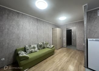 Продаю квартиру студию, 28 м2, Псков, Инженерная улица, 125