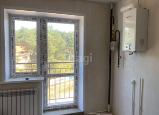 Продается 1-ком. квартира, 39 м2, посёлок Красный Бор, Заволжская улица, 10