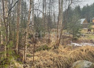 Продажа земельного участка, 10 сот., СНТ Конструктор, СНТ Конструктор, 29