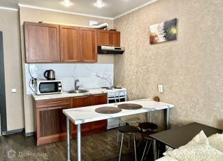 Продаю квартиру студию, 30 м2, Воронеж, Ипподромная улица, 68/2, Коминтерновский район