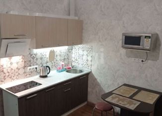 Сдача в аренду квартиры студии, 24 м2, Сургут, улица Александра Усольцева, 15