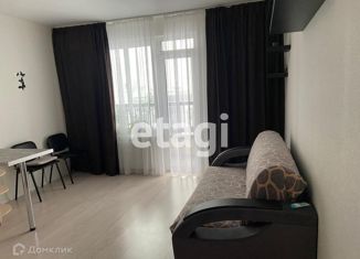 Продаю квартиру студию, 30.1 м2, Санкт-Петербург, Богословская улица, 4к3, метро Площадь Мужества