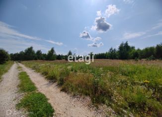Продажа участка, 10 сот., деревня Напутново, Центральная улица, 49