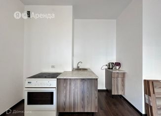 Аренда 1-ком. квартиры, 35 м2, Санкт-Петербург, Новолитовская улица, 14, муниципальный округ Сампсониевское