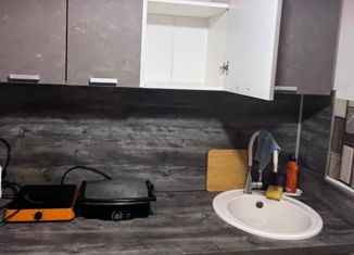 Сдается в аренду 2-комнатная квартира, 27.6 м2, Красноярск, улица Лесников, 23