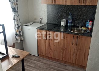 Продается квартира студия, 20.1 м2, Бийск, Ленинградская улица, 33