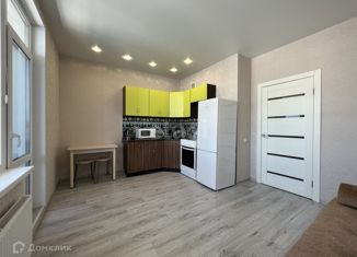 Сдам в аренду квартиру студию, 25 м2, Тюмень, улица Фармана Салманова, 26