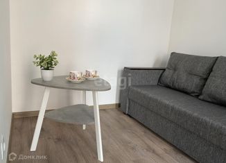 Квартира в аренду студия, 30 м2, Пермский край, Сапфирная улица, 16