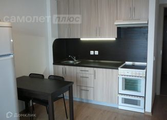 Сдаю квартиру студию, 25 м2, Санкт-Петербург, улица Катерников, 7, улица Катерников