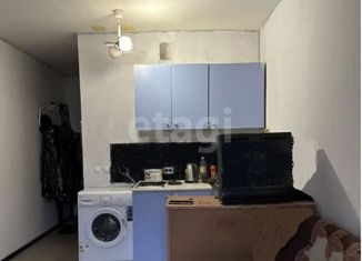 Квартира на продажу студия, 21 м2, Новосибирск, Березовая улица, 19, Березовая улица