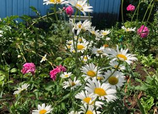 Продается дом, 20 м2, СНТ Кама-2