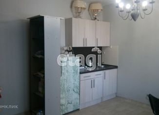 Квартира в аренду студия, 30 м2, Новосибирск, Тульская улица, 80, ЖК Тульский