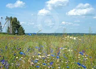 Продажа участка, 22.05 сот., деревня Чесноково