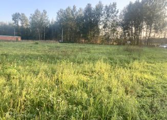 Продаю земельный участок, 10 сот., деревня Степаново