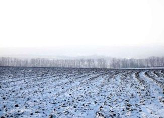 Продам участок, 1246 сот., Александровское сельское поселение