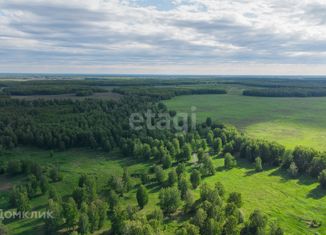 Продам участок, 10.77 сот., село Каменка, Школьная улица