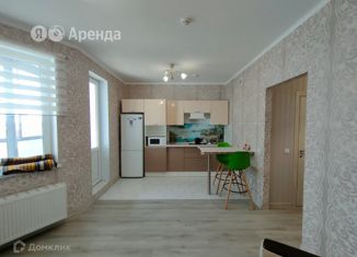 Квартира в аренду студия, 25 м2, Санкт-Петербург, Плесецкая улица, 10