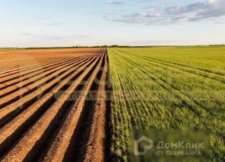 Продается земельный участок, 510 сот., Собчаковское сельское поселение