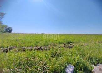 Продается земельный участок, 294 сот., деревня Андреевка