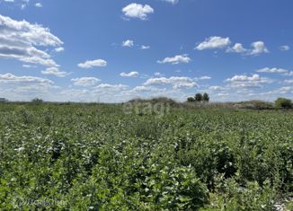Продается участок, 500 сот., Белоярский городской округ