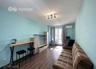 Сдача в аренду квартиры студии, 25 м2, Санкт-Петербург, проспект Ветеранов, 175, Красносельский район