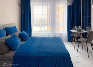 Продам квартиру студию, 19.7 м2, Москва, улица Вертолётчиков, 21к5, метро Некрасовка