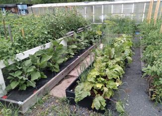 Продается дом, 40 м2, СНТ Восход