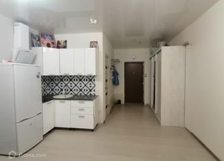 Продаю квартиру студию, 27.6 м2, Краснодар, Гаражный переулок, 12/3к3, Гаражный переулок