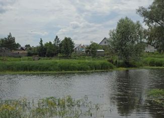 Продам участок, 10 сот., деревня Красный Яр, 1-я Береговая улица, 29