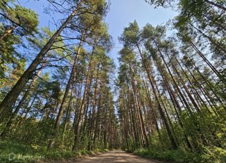 Продаю дом, 128.1 м2, деревня Курово (Никулинское сельское поселение), Светлая улица