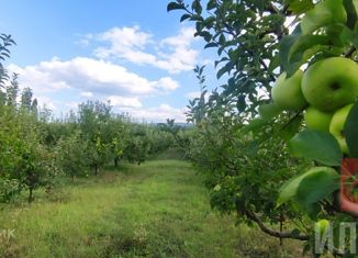 Продаю участок, 180 сот., село Предущельное, улица Танкистов