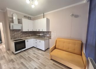 Сдам в аренду 1-ком. квартиру, 40 м2, Краснодарский край, Анапское шоссе, 30