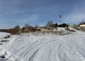 Продам земельный участок, 10 сот., село Созоново, Береговая улица