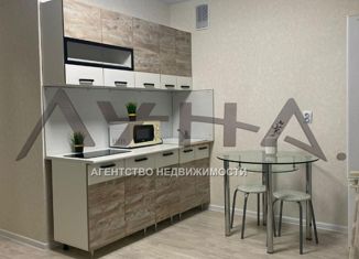 Сдается однокомнатная квартира, 25 м2, Татарстан, улица Раскольникова, 21