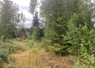 Участок на продажу, 17 сот., деревня Сарженка, Деревенская улица