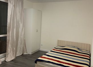 Сдается квартира студия, 30 м2, поселок Бугры, Гаражный проезд, 27к2, ЖК Новые Горизонты