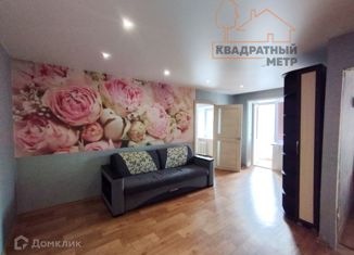 Аренда 2-комнатной квартиры, 44 м2, Димитровград, улица Куйбышева, 323