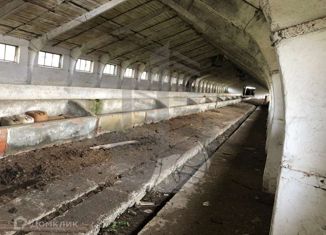 Продаю земельный участок, 12500 сот., село Варнавинское