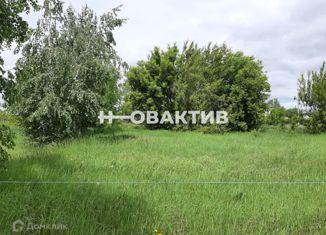 Участок на продажу, 30 сот., село Красный Яр, Сибирская улица, 1/5