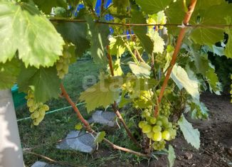 Продам дом, 24 м2, СНТ Волжанка-2