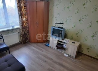 Продается однокомнатная квартира, 37.4 м2, деревня Хохряки, Тепличная улица, 34