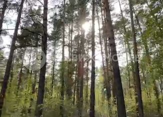 Продаю земельный участок, 15 сот., деревня Красный Восход